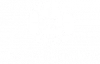 The Leo Solutions